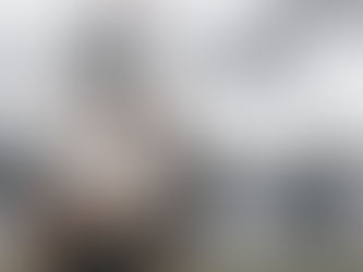 The Ultimate Guide to Adopting a Cat or Dog in France as a Foreigner