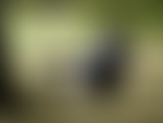 How to Obtain Citizenship as a Retiree in France: Key Requirements and Steps for Expats