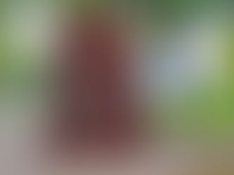 Re-Apply for Schengen Visa after rejection