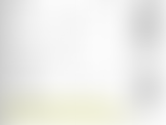 Learn to Read Your French Payslip