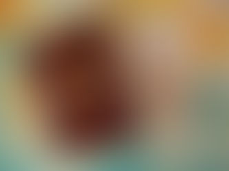 Can I Travel to France with an Attestation Prolongation Instead of a Return Visa?