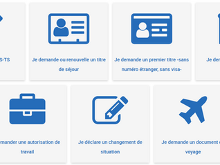 ANEF Website Not Recognizing My French Spouse Visa Number – What Should I Do?