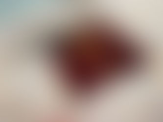 French Citizenship and Family Visa Benefits: What It Means for My Visa and Medical Insurance Require