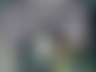 Visiting a Dentist in France Without a Social Security Number: What You Need to Know