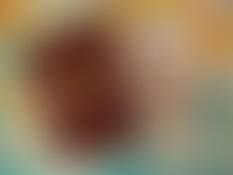 Navigating the French Work Visa Landscape: From Talent Passport to Normal Work Visa