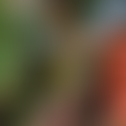 Watering Tips for Early Childhood Gardens: Fun Ways to Teach Tamariki About Plant Care