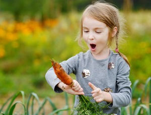 Embed Gardening In Your Early Childhood Curriculum