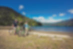 Mountain bikers on Queen Charlotte Track