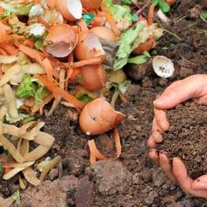 Keep Food Waste From Landfill