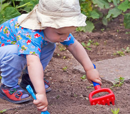 Soil - The Key To A Healthy Earth