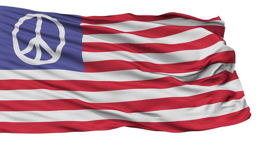 THE TRUE AMERICAN DREAM: Resolving our Nation’s Crisis