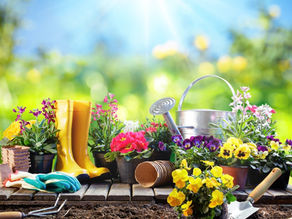 SPRING EQUINOX 2018 – The era of reinvention & the 7 perspectives to change your world