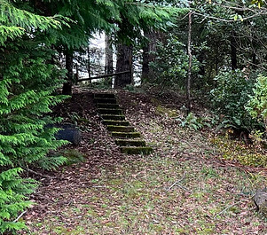 Stairway to serenity