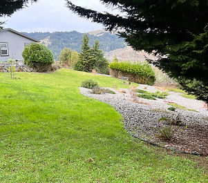 The main grounds
