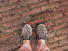 Animal Print Shoes