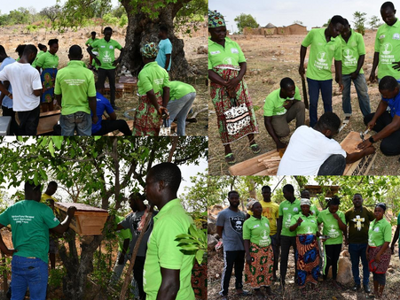 Reports from Ghana
