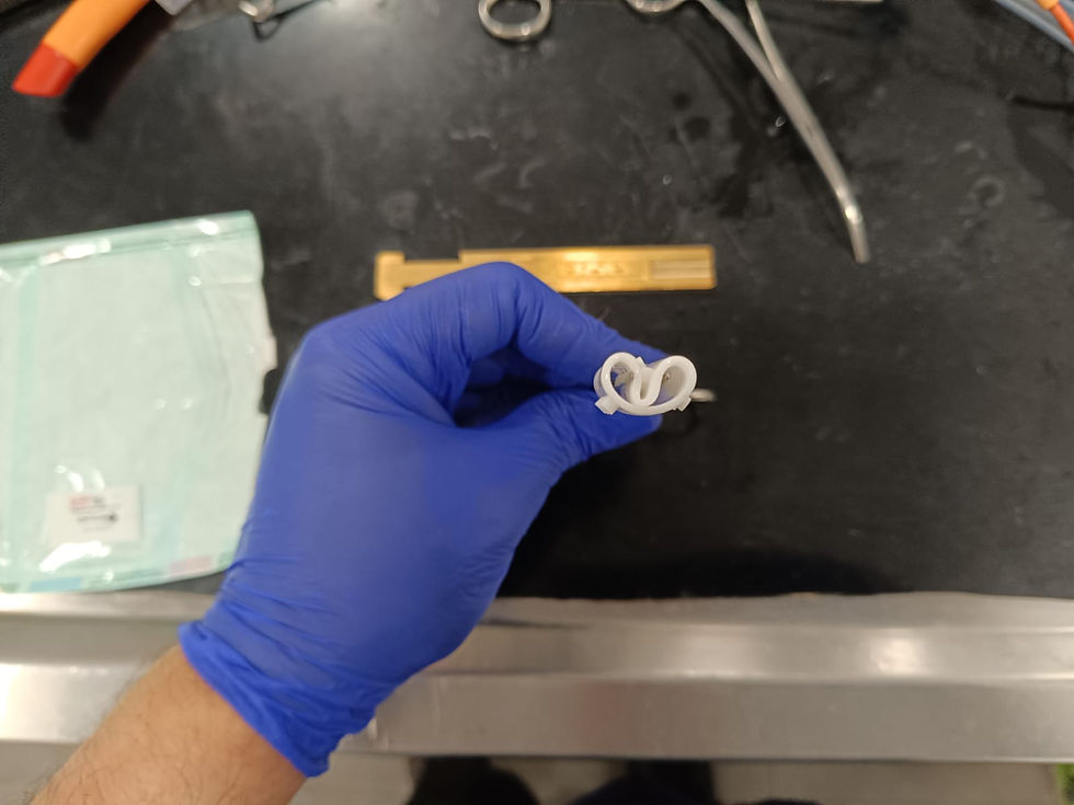 stent silicona abtvet veterinaria