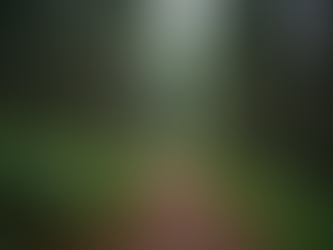 Discover the Best Attractions Near Rajgriha