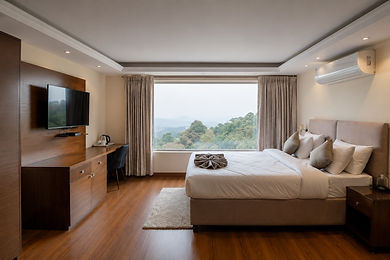 Premium room.jpg