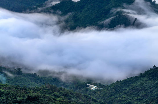 pexels-quang-nguyen-vinh-222549-14025672.jpg