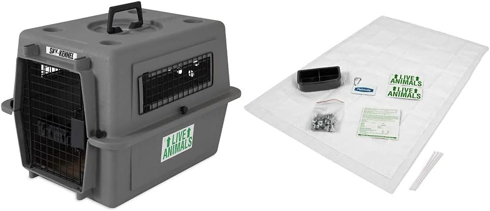 Thumbnail: Petmate Sky Kennel - IATA Compliant Dog Crate for Pets Up to 15 Pounds - Airlin