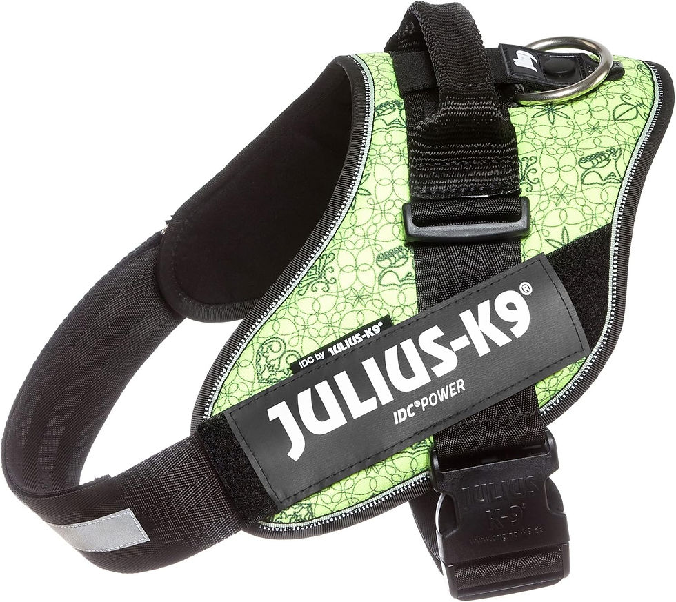 Thumbnail: IDC Powerharness, Size: 3XS/Baby 1, Black
