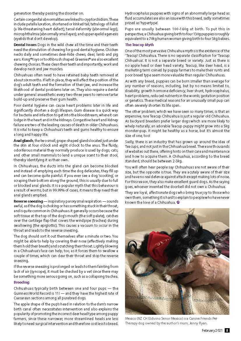 DWFeb Breed Chihuahua (3)_Page_4.png