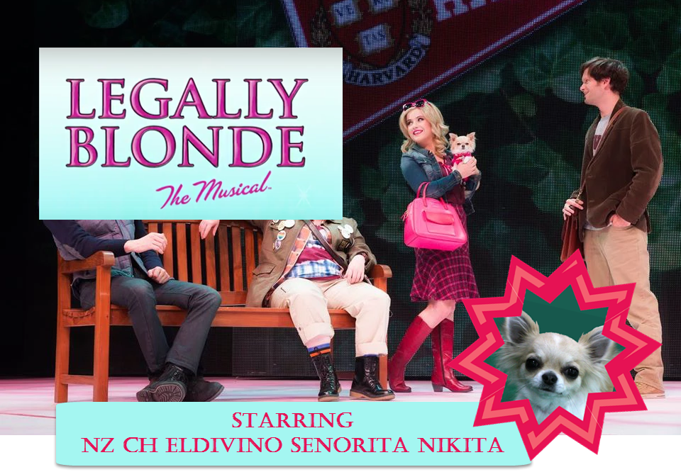 Legally Blonde, The Musical