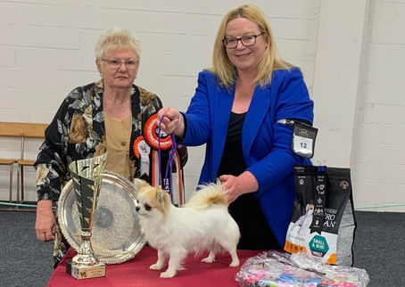 Best in Show for Team Kitaco