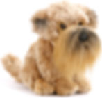 Thumbnail: DEMDACO Black Long-Haired Chihuahua Children's Plush Beanbag Stuffed Animal Toy