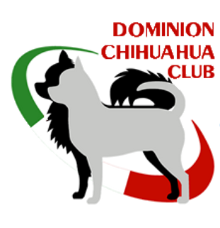 Logo trans.png