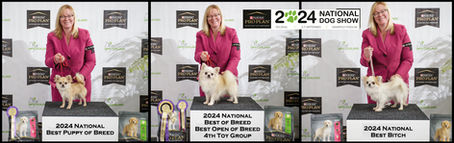 Kitaco's Spectacular September