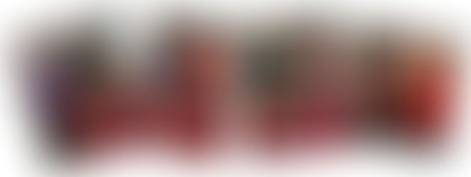 2023 DCC Championship and Open Shows