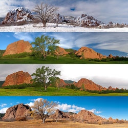Sleeping George Seasons-s