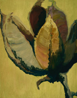 MacFarlane_Pod 0I_14x11_Acrylic on bassw