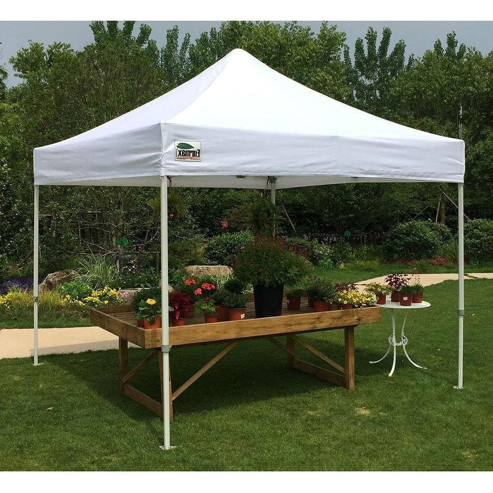 Thumbnail: 10' x 10' Canopy Tent - Eurmax