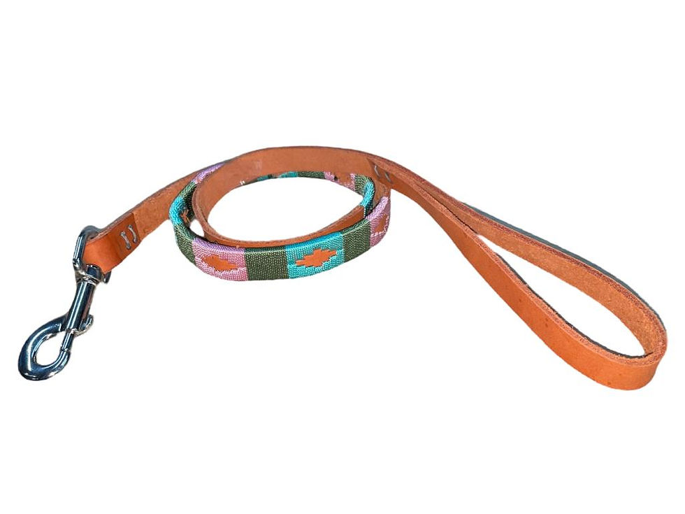 Miniatura: Traílla argentina Ref. 2301