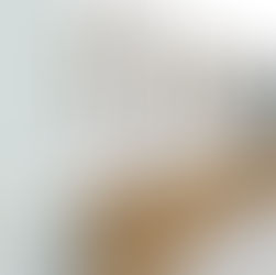 The One Room Challenge Week 2: it’s demo day! and the design details