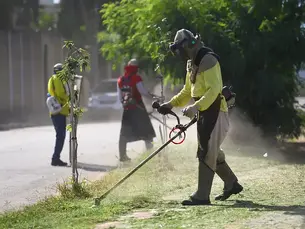 Prefeitura divulga a programação de poda, roçada e jardinagem em bairros de São José