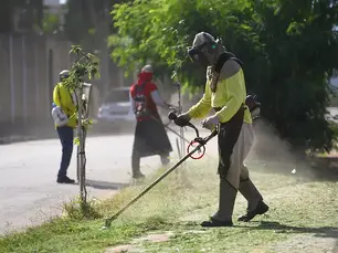 Prefeitura divulga a programação de poda, roçada e jardinagem em bairros de São José