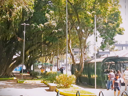 Prefeitura amplia a iluminação ornamental nas praças do centro