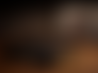 A última barreira da civilização: A linha inegociável