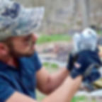 JOSH ROCK DOVE