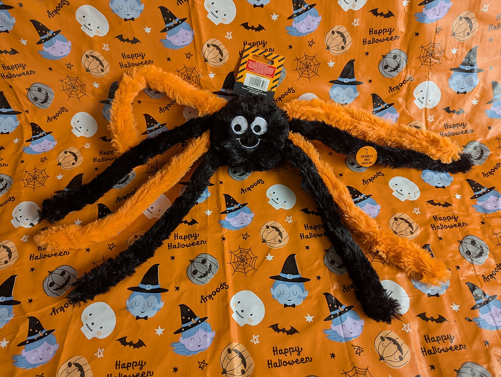 Black and Orange Spider Plush dog toy