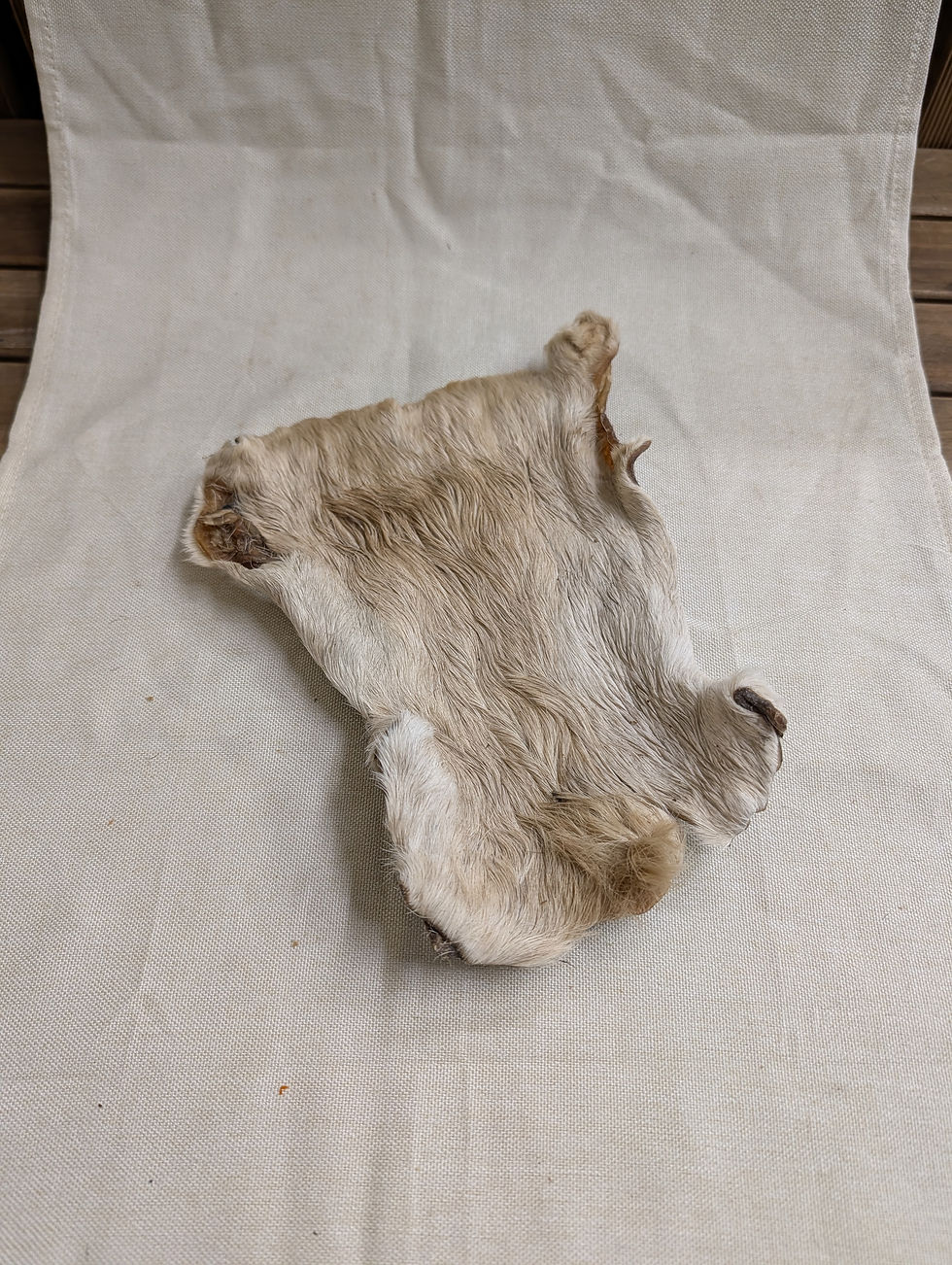 Thumbnail: Hairy Beef Skin