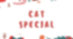 Cat special section with cat Christmas stocking
