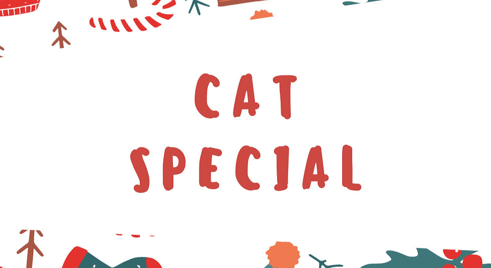 Cat special section with cat Christmas stocking