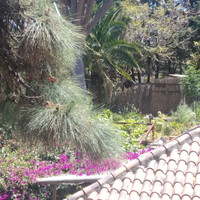our site la palma glamping