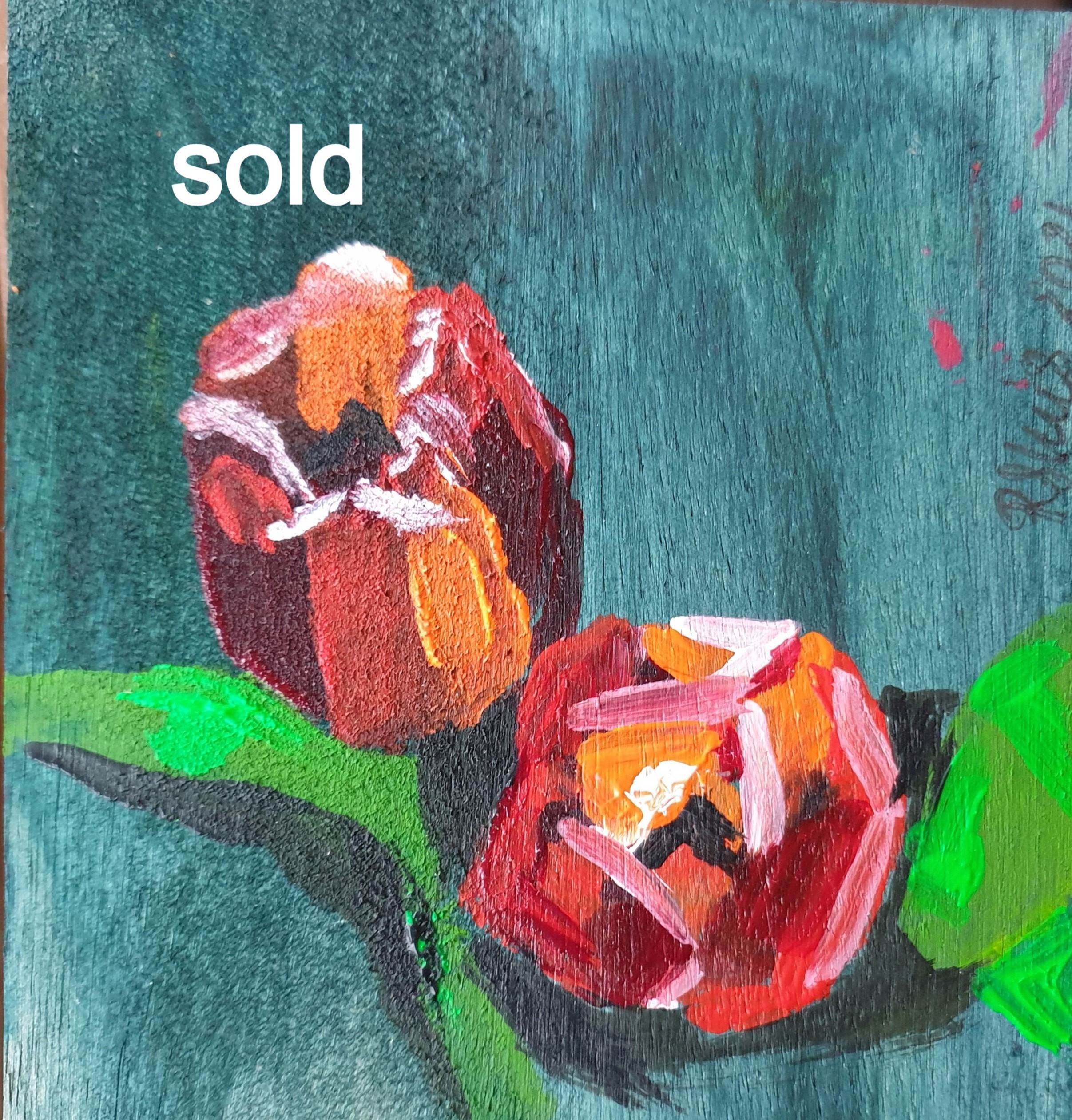 original mini tulip