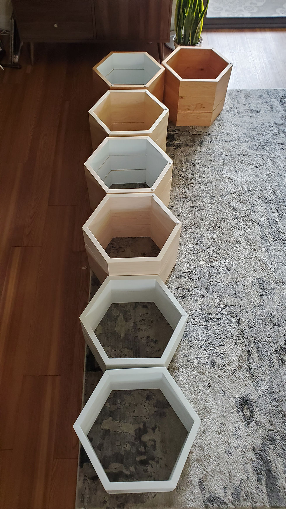 Thumbnail: Hexagon Shelf (individual)